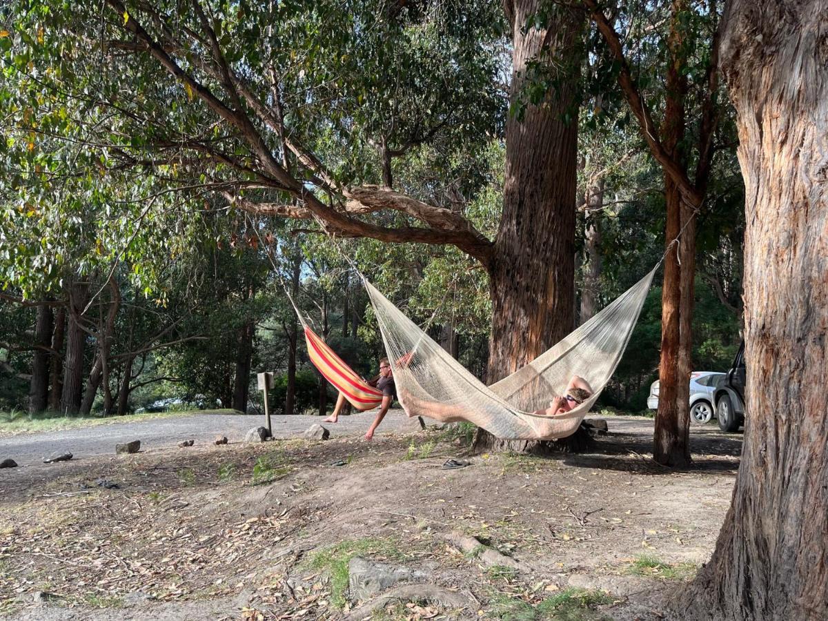 فندق Base Camp Tasmania نيو نورفولك المظهر الخارجي الصورة